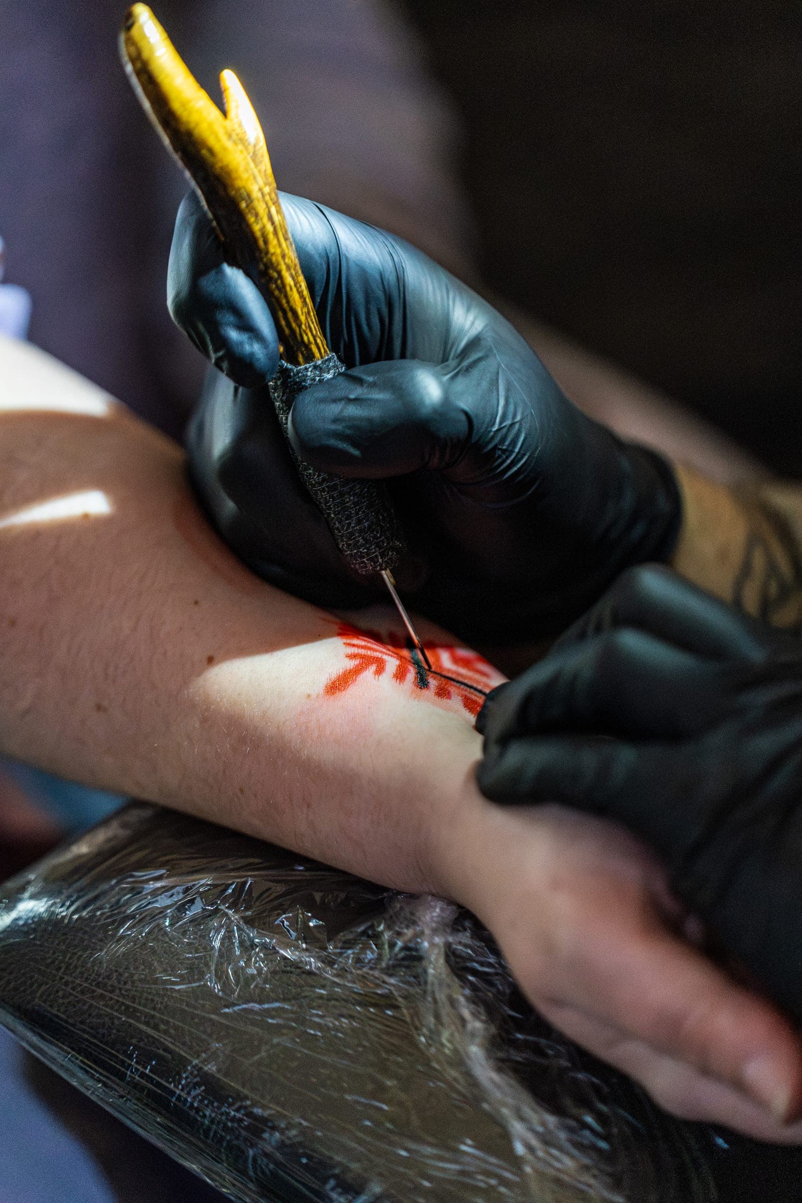 Jorvik Tattoo Moot, photo 15